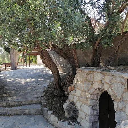 Stavros Agios Dimitrianos